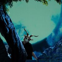 Отровата като лекарство – една „Малка Англия“