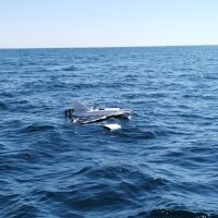 Двигател на ракета изплува в „Слънчев бряг“. Открит е и дрон до Несебър