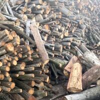 Криза в горския сектор: Натрупана дървесина увеличава риска от пожари