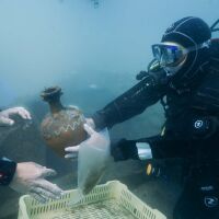 „Мисия Австралия и България - наука под вода“ - Гледайте тази вечер в bTV Репортерите