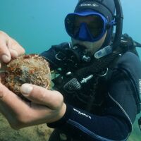 bTV Репортерите: Мисия Австралия-България - наука под вода