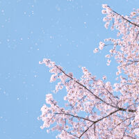 Жълт код за силен вятър в няколко области, температурите - до 28°