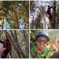 Парапланерист се заплете в дърво над Кюстендил, планински отряд го спаси (СНИМКИ)