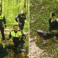 94-годишна жена изчезва, след като отива да бере коприва и гъби. Откриха я след два дни (СНИМКИ)