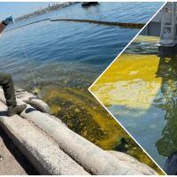 Над 6000 тона слънчогледово олио се разляха в Черно море