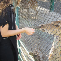 Работник в зоопарк изхвърли тялото на съпругата си в инсинератора