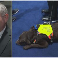 Куче е 241-вият народен представител в 52-рия парламент (ВИДЕО)