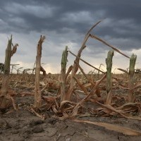 Зам.-министърът на околната среда: Климатичните промени вече са реалност за България