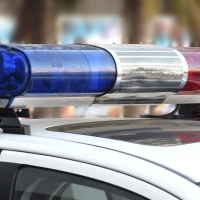 Полицията разследва смъртта на две ловни кучета във Видин