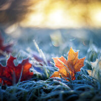 Ноември 2025 г. е сред най-топлите за последните 15 години