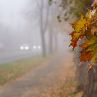 Времето на 4 декември: Мъгливо утро и необичайно високи температури