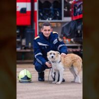 Те търсят своя човек: Бездомни кучета „позират“ в благотворителен календар с пожарникари