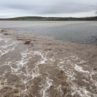 Ако времето се влоши: Полицейски екипи остават дежурни през нощта в Царево