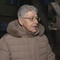 „Благодарение на bTV промениха решението“: Осъдиха мъжа, пребил възрастна жена за пет ореха в Сливен