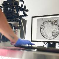 От донор с мутация, причиняваща рак, са заченати близо 200 деца в Европа