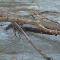 Опасност от повторно опустошително наводнение в Пловдивско