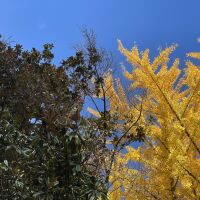 По-ниски дневни температури в събота – между 6 и 11 градуса