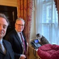 Котаракът Максимус на белгийския премиер засенчва по слава котарака на британските премиери