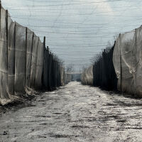 Украинският военен говорител: Руските войски са блокирани в северната част на Купянск