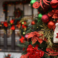 На 14 декември почитаме паметта на мъченици. Кой празнува имен ден?