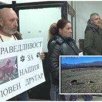 Брутално убийство на ловно куче в Ботевградско, ловци настояват за най-тежкото наказание
