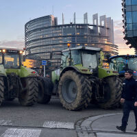 Над 10 000 фермери от цяла Европа излизат на протест в Брюксел днес