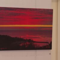 „Пътят на слънцето“: Благотворителна фотоизложба във Варна събира средства за пострадало момиче