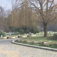 Коледа, но не бяла: И тази година снежен човек ще има само в детските рисунки