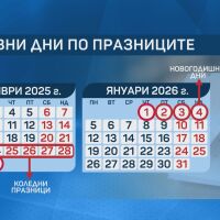 Броени дни до Коледа: Ето как празниците могат да продължат 12 дни