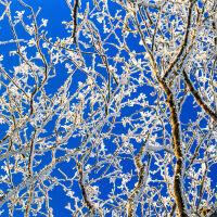 Астрономическата зима идва с превалявания от дъжд и температури до 12°