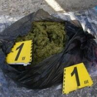 Разбита е престъпна група за разпространение на наркотици в Благоевградско (СНИМКИ)