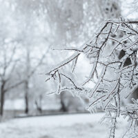 Ще има ли бяла Коледа? Симеон Матев с прогноза за времето по празниците