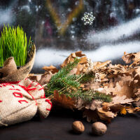 Християните се подготвят да посрещнат раждането на Исус Христос