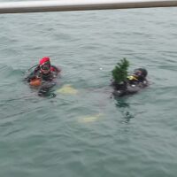 Бъдни вечер край морето в Бургас: Водолази от цялата страна търсят подаръци на морското дъно