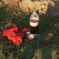 Влак уби майка и 4-годишното ѝ дете. Бащата: Не видях сигнал, после започна да прави "пън"