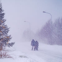 Зимна буря остави без ток десетки хиляди хора в Швеция