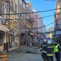 Силен вятър мобилизира пожарната в Пловдивско, близо 20 сигнала за паднали дървета