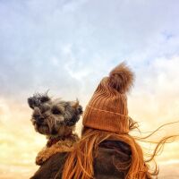 Силен вятър в почти цялата страна в понеделник – 29 декември