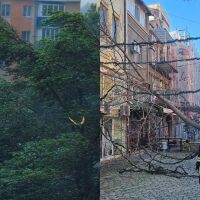 На общо 159 сигнала в цялата страна са реагирали екипите на пожарната заради силния вятър