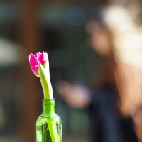 Слънчева съботата с температури до 15 градуса