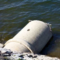 Откриха дива форма на вируса, причиняващ детски паралич, в германската канализация