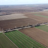 Собственици на земи: Над 3 милиона българи ще бъдат ощетени, ако променят арендата и договорите за земеделска земя