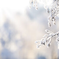 23 см сняг падна във Враца, обявен е жълт код за студ в 10 области