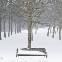 Нова студена вълна скова Румъния, в Букурещ зимата се завърна с 15 см снежна покривка