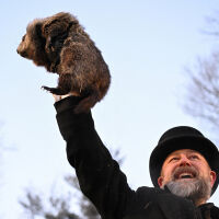 Мармотът Фил предвиди още шест седмици зима в САЩ (ВИДЕО)