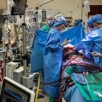 Пациент оцеля 48 часа без бели дробове в подготовка за трансплантация