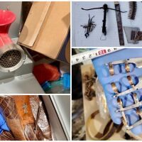 82 клипа с мъчение над животни. Разследващите: Много са трудни за гледане, не може да се сравни с нищо 