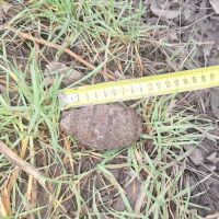 Унищожена е силно корозирала ръчна граната, открита в гараж в Бургас