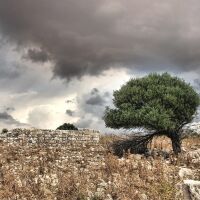 Буря опустоши остров Корфу, спрени са фериботи заради бурни ветрове