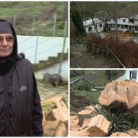 Вековно дърво падна и разруши покрива на манастир. Монахиня потърси помощ във фейсбук